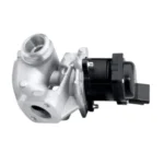 Focus EGR Valfi